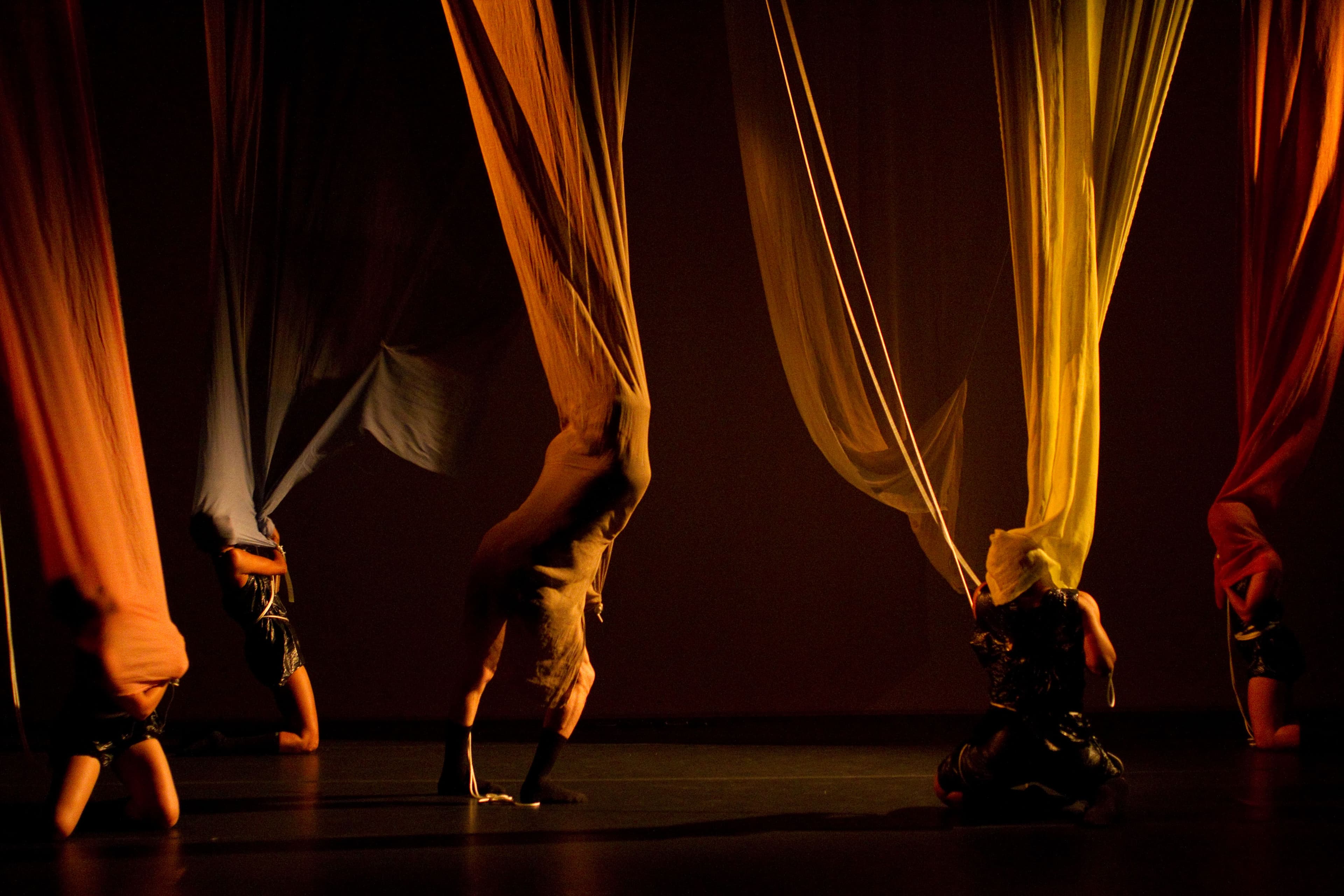Terra Firma